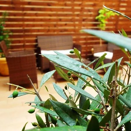 Apartment Argo Maisonettes Vasiliki (Lefkada)